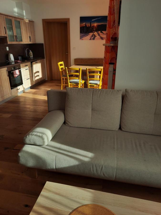 Apartmán U Sjezdovky *