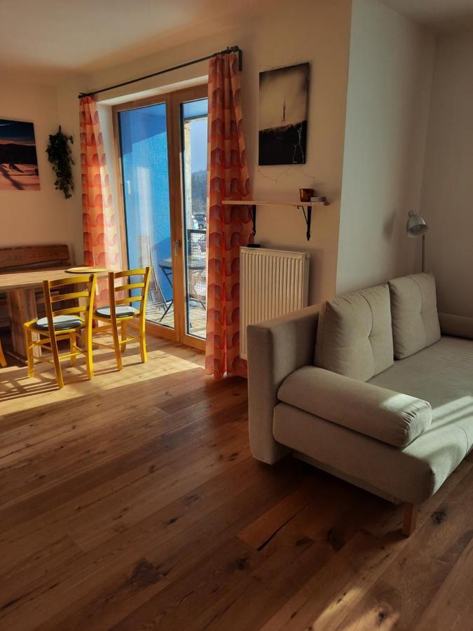 Apartmán U Sjezdovky